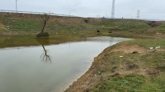 117140194_640x360
