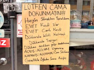 cam-silmekten-yorulan-kadindan-hem-gulduren-h-19995245_amp (1)