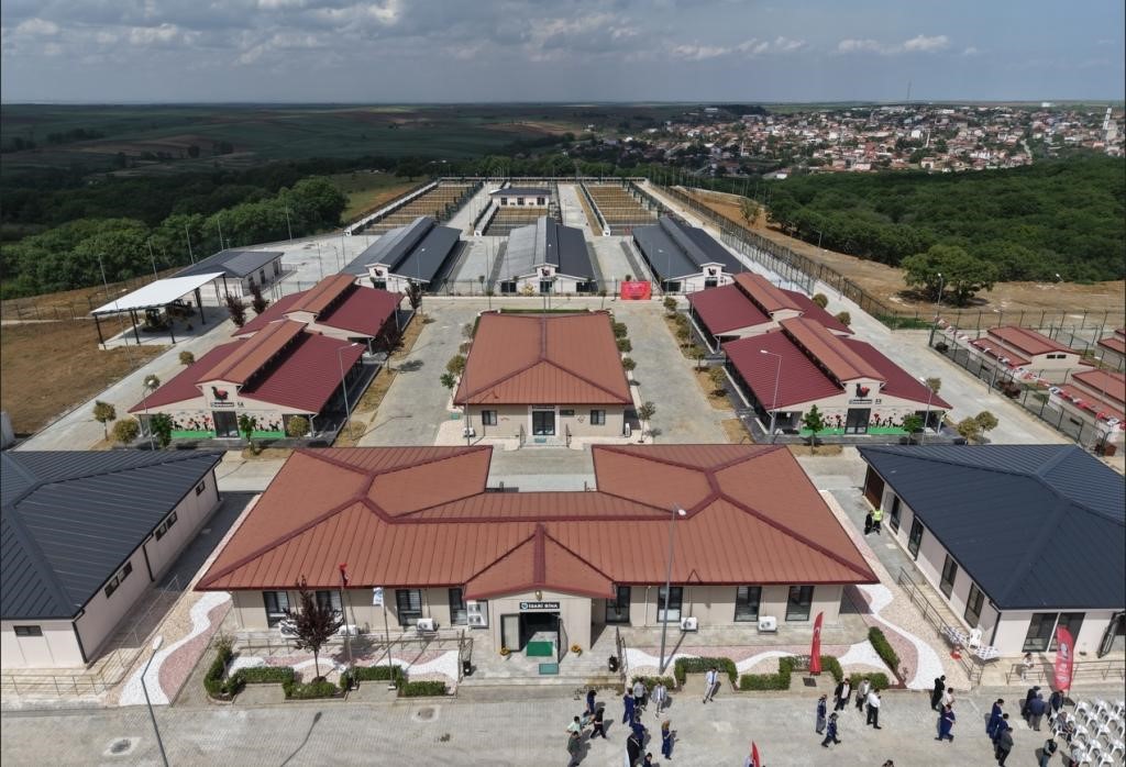 20260708aw742591-0 Tekirdağ Büyükşehir Belediyesi 5 Binden Fazla Sahipsiz Hayvana Umut Oldu