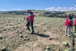 super-hucre-tekirdagi-vurdu-zararin-boyutu-gun-agarinca-ortaya-cikti_20050053_51