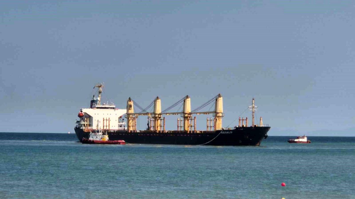 tekirdag-da-169-metrelik-gemi-karaya-oturdu-20047166_amp