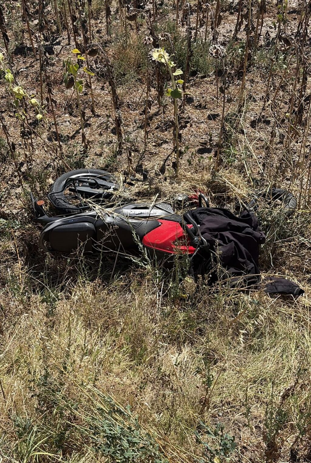 tekirdag-da-devrilen-motosikletin-surucusu-ol-20164154_amp (1)